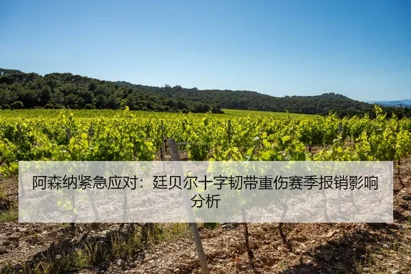 阿森纳紧急应对：廷贝尔十字韧带重伤赛季报销影响分析